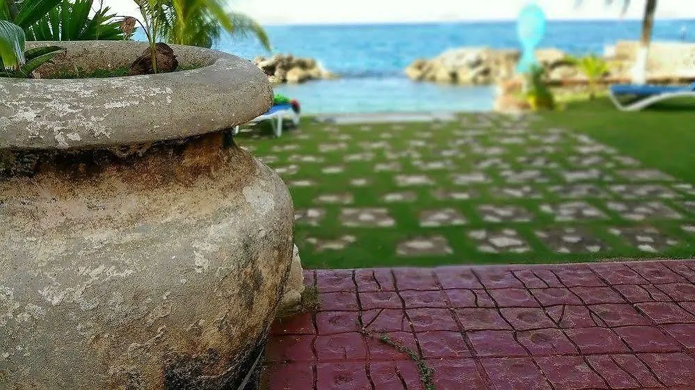شقة Idyllic Beachfront Condo أوشو ريوس جامايكا