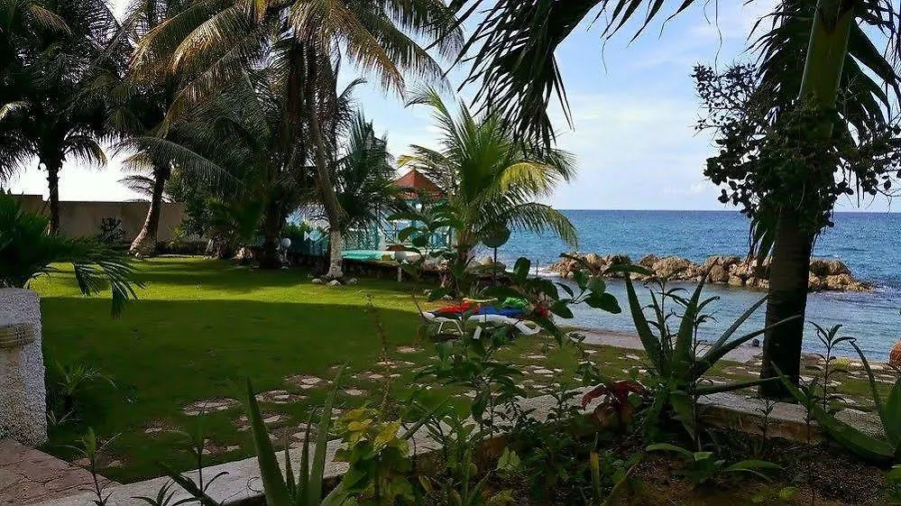 Idyllic Beachfront Condo أوشو ريوس 0*,