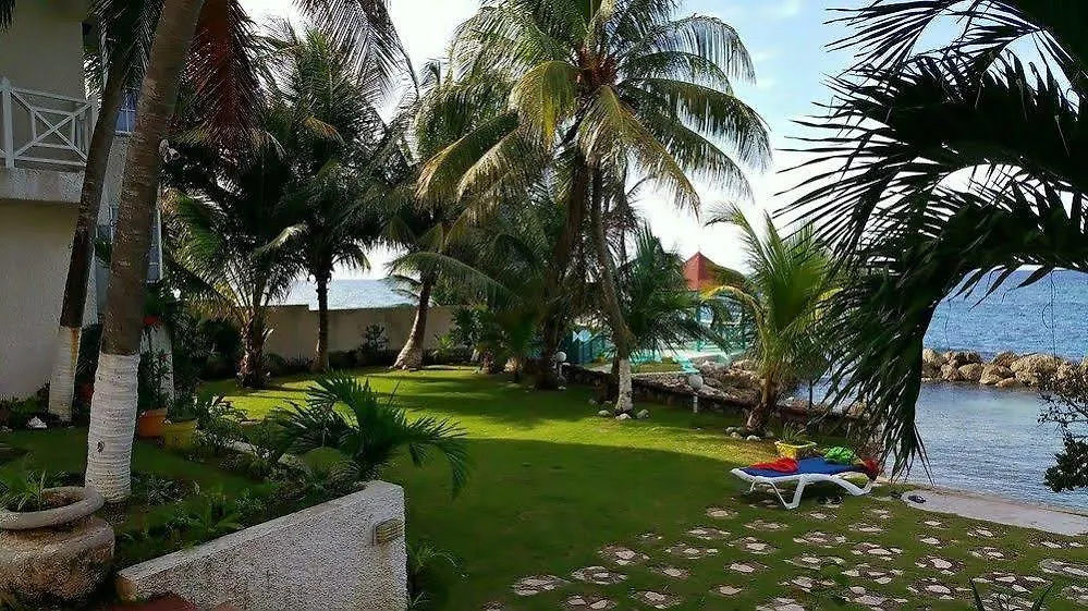 Idyllic Beachfront Condo أوشو ريوس شقة